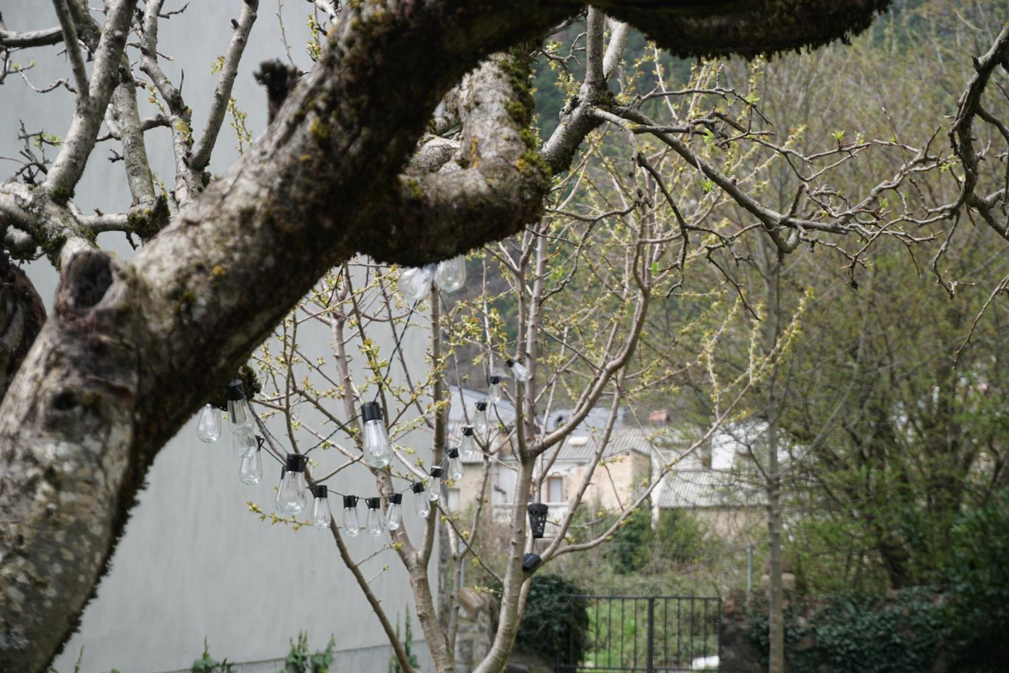 Cirjuana, Casa En El Centro Con Agradable Jardin Y Barbacoa By Pirineos 360 Villa Biescas  Bagian luar foto